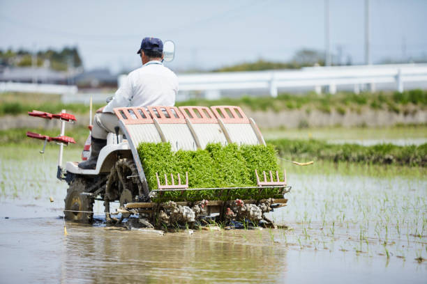 Teknologi Rice Transplanter